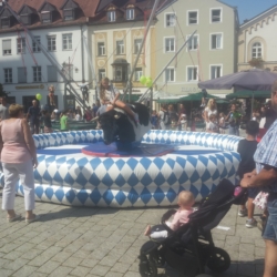 Bullriding Bayerisch